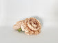 Nude beige ranunculus flower head for boho floral arrangements