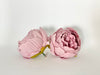4" Dusty Lavender Peony