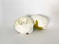 4" Cream Double Peony