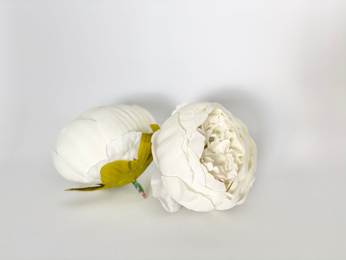 4" Cream Double Peony