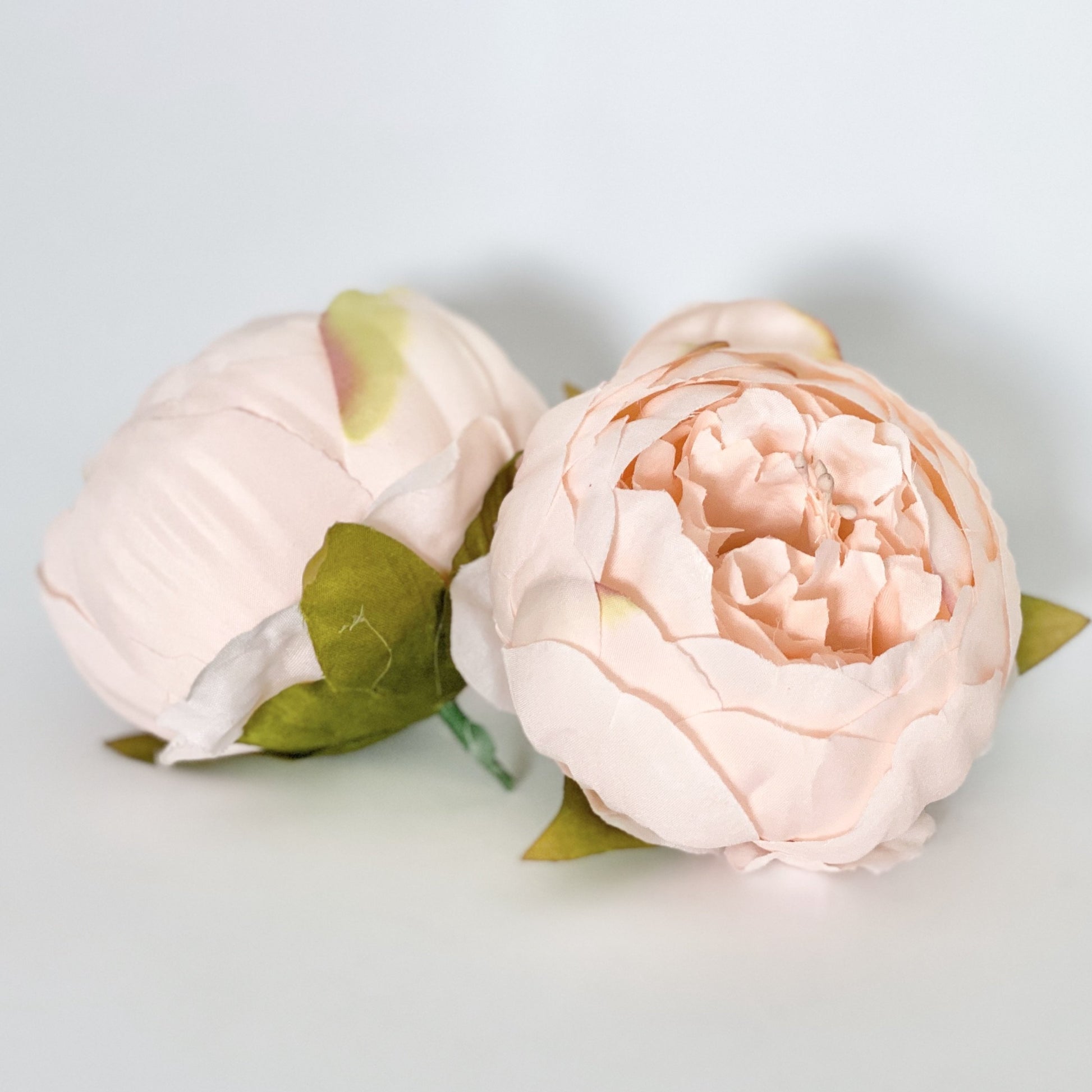 4" Double Peony in Pale Peachy Pink Closed Pink Peony Blush Peony Closed Light Pink Peony Blush Pink Peony Wedding Peony Flower Cake Peony