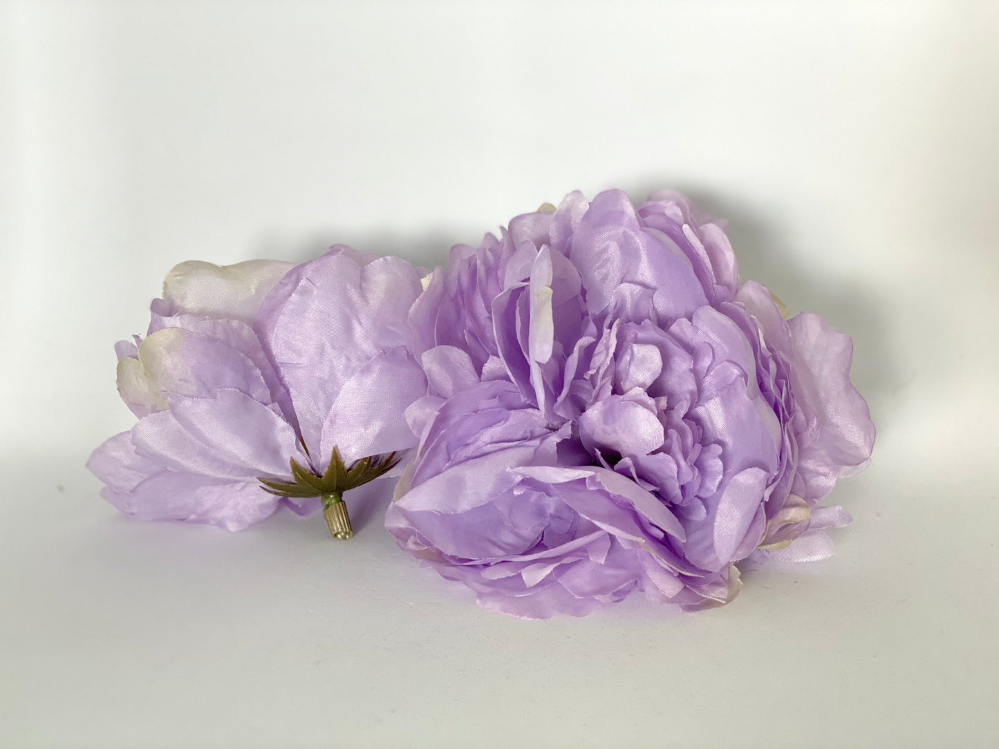 Large Lavender Peony