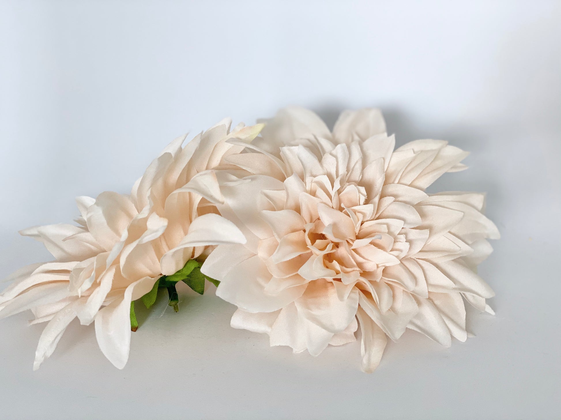 Latte beige artificial dahlia top view for boho party decor