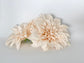 Full beige dahlia flower head for neutral floral arrangements