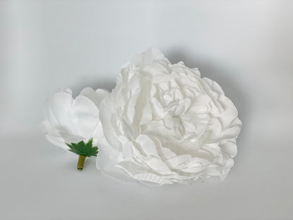 Large White Peony
