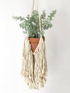 Fringe Macrame Plant Hanger, Macrame Crochet Planter, Boho Plant, Boho Nursery Decor, Boho Office Decor, Boho Planter, Macrame Planter Boho