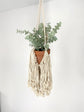 Fringe Macrame Plant Hanger
