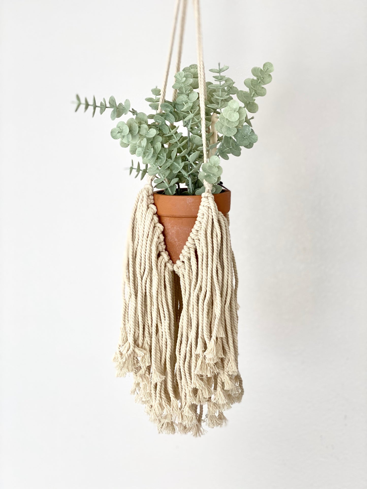 Fringe Macrame Plant Hanger