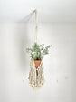 Fringe Macrame Plant Hanger, Macrame Crochet Planter, Boho Plant, Boho Nursery Decor, Boho Office Decor, Boho Planter, Macrame Planter Boho