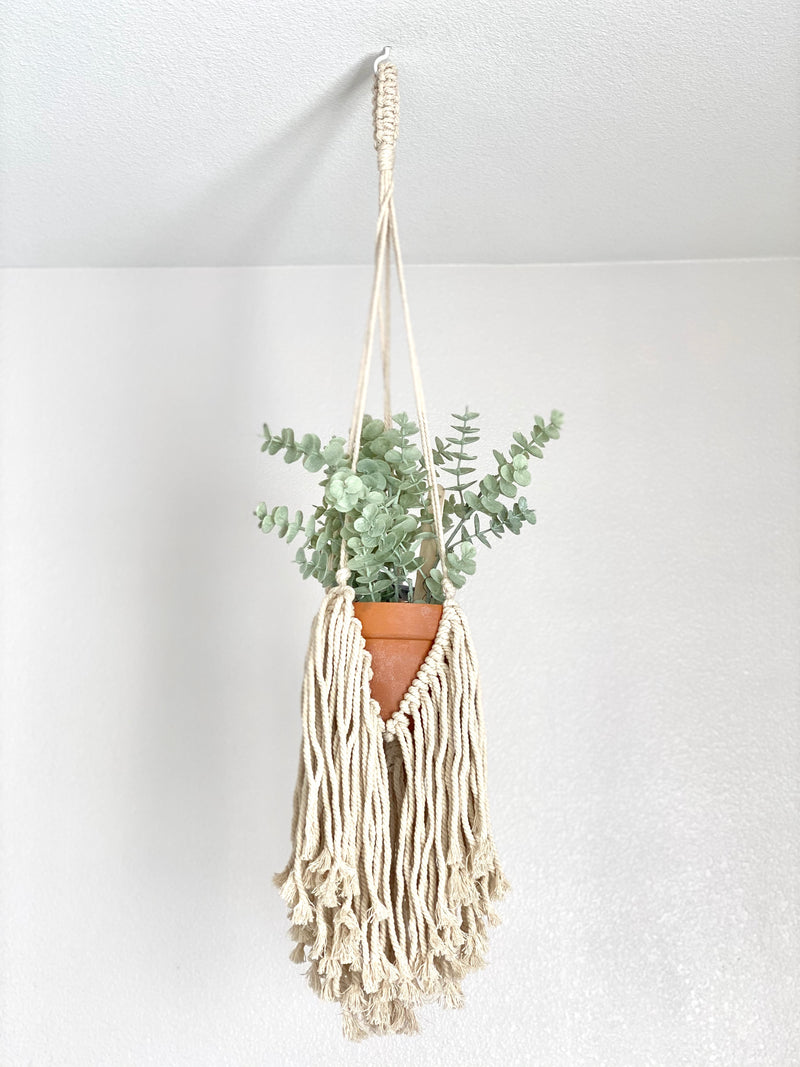 Fringe Macrame Plant Hanger