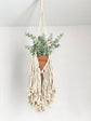 Fringe Macrame Plant Hanger
