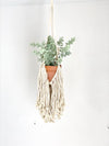 Fringe Macrame Plant Hanger