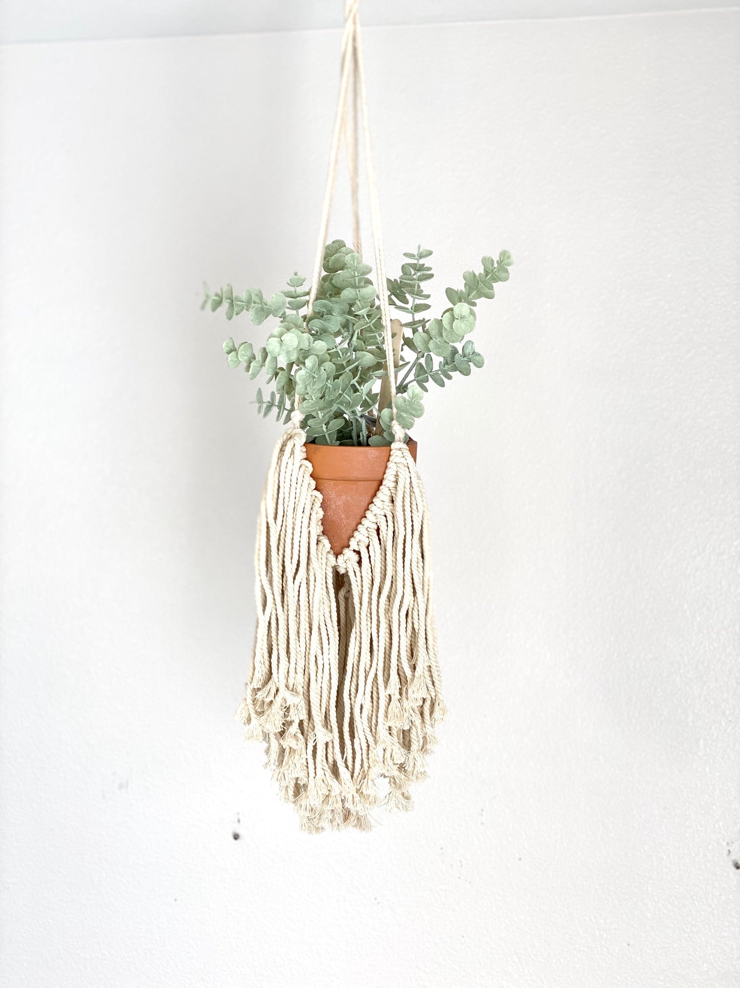 Fringe Macrame Plant Hanger
