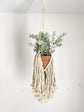 Fringe Macrame Plant Hanger