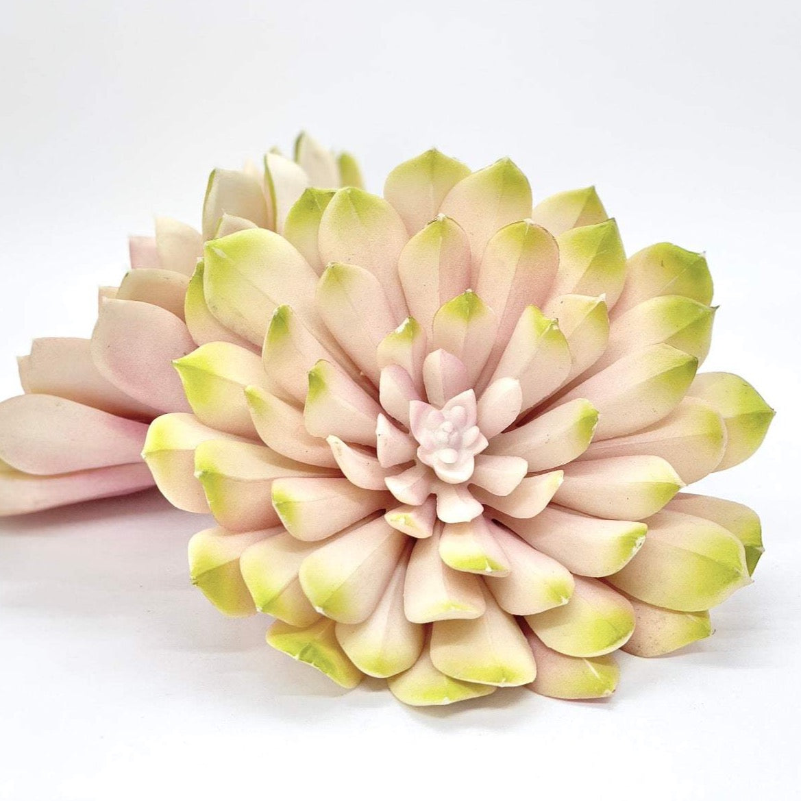 Large 6" Blush Pink and Green Succulent Artificial Succulent Wedding Succulent for Wedding Succulent Baby Shower Pink Succulent Decor Girl