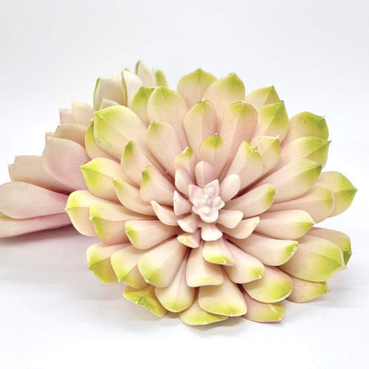 Large 6" Blush Pink and Green Succulent Artificial Succulent Wedding Succulent for Wedding Succulent Baby Shower Pink Succulent Decor Girl