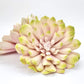 Blush pink and green artificial succulent 6 inch for wedding bouquets