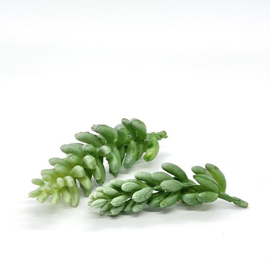 2.5" and 3.5" Seedling Succulents Artificial Succulents Fake Succulent Decor Faux Succulent Plant Green Succulent Seedling Plant Artificial