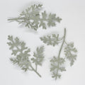 Set of 3 flocked artificial frosted dusty miller accents for boho flower crowns and bouquets
