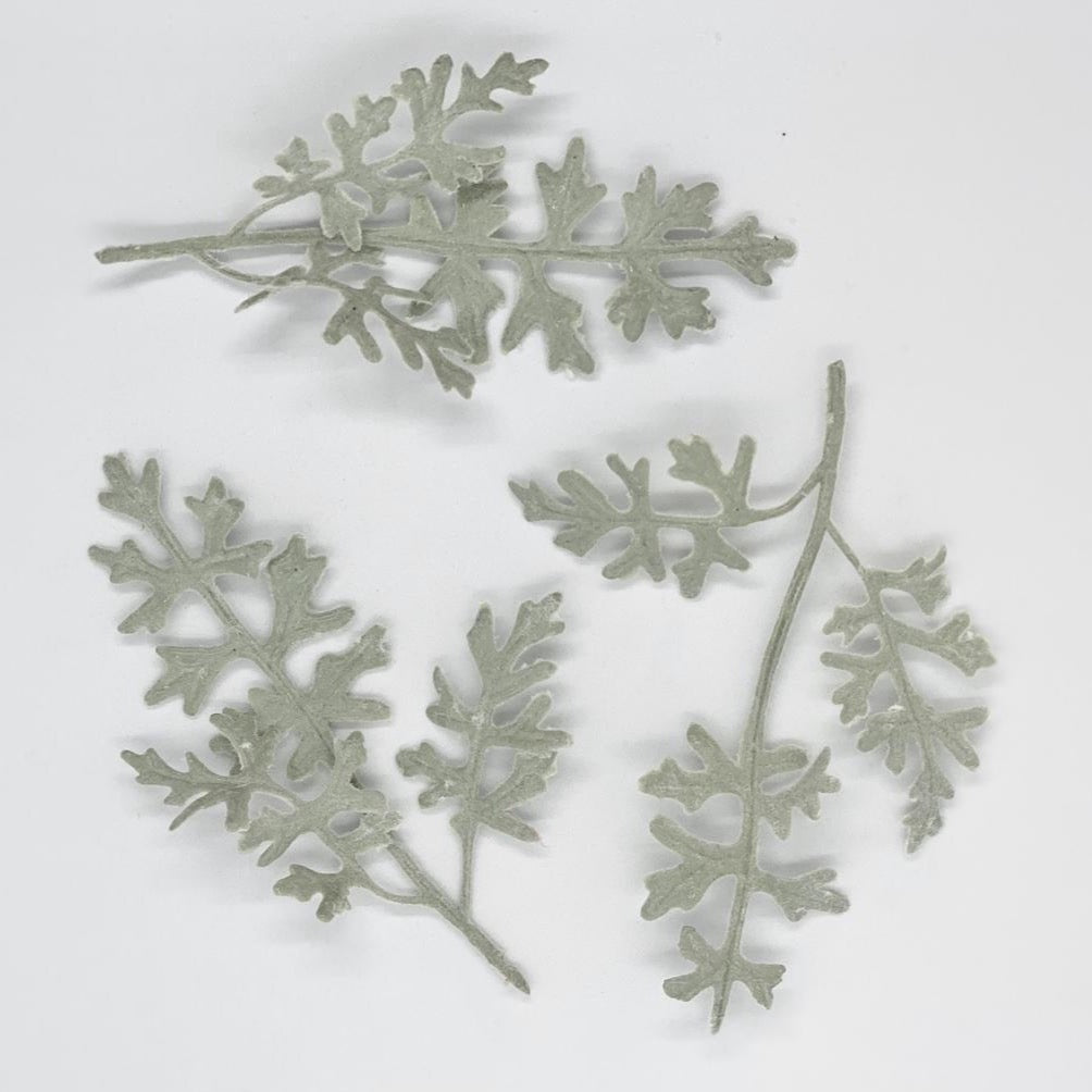 Set of 3 Artificial Frosted Dusty Miller Accent Flocked Dusty Miller Plant Faux Dusty Miller Greenery Faux Dusty Miller Sprig Flocked Leave
