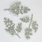 Set of 3 flocked artificial frosted dusty miller accents for boho flower crowns and bouquets