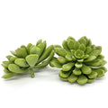3 inch artificial green succulent for wedding centerpieces, flower crowns, and wreaths