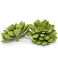 3 inch artificial green succulent for wedding centerpieces, flower crowns, and wreaths