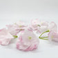 Light Blush Pink Hydrangea Flowers Set of 5 Hydrangea Clusters Flower Party Decor Floral Party Decor Wedding Hydrangea for Flower Crown