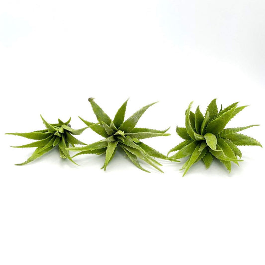 Light Green Artificial Aloe Succulent Pick Green Aloe Fake Succulent Decor Terrarium Plant Succulent Aloe Plant Aloe Pick Fake Aloe Greenery