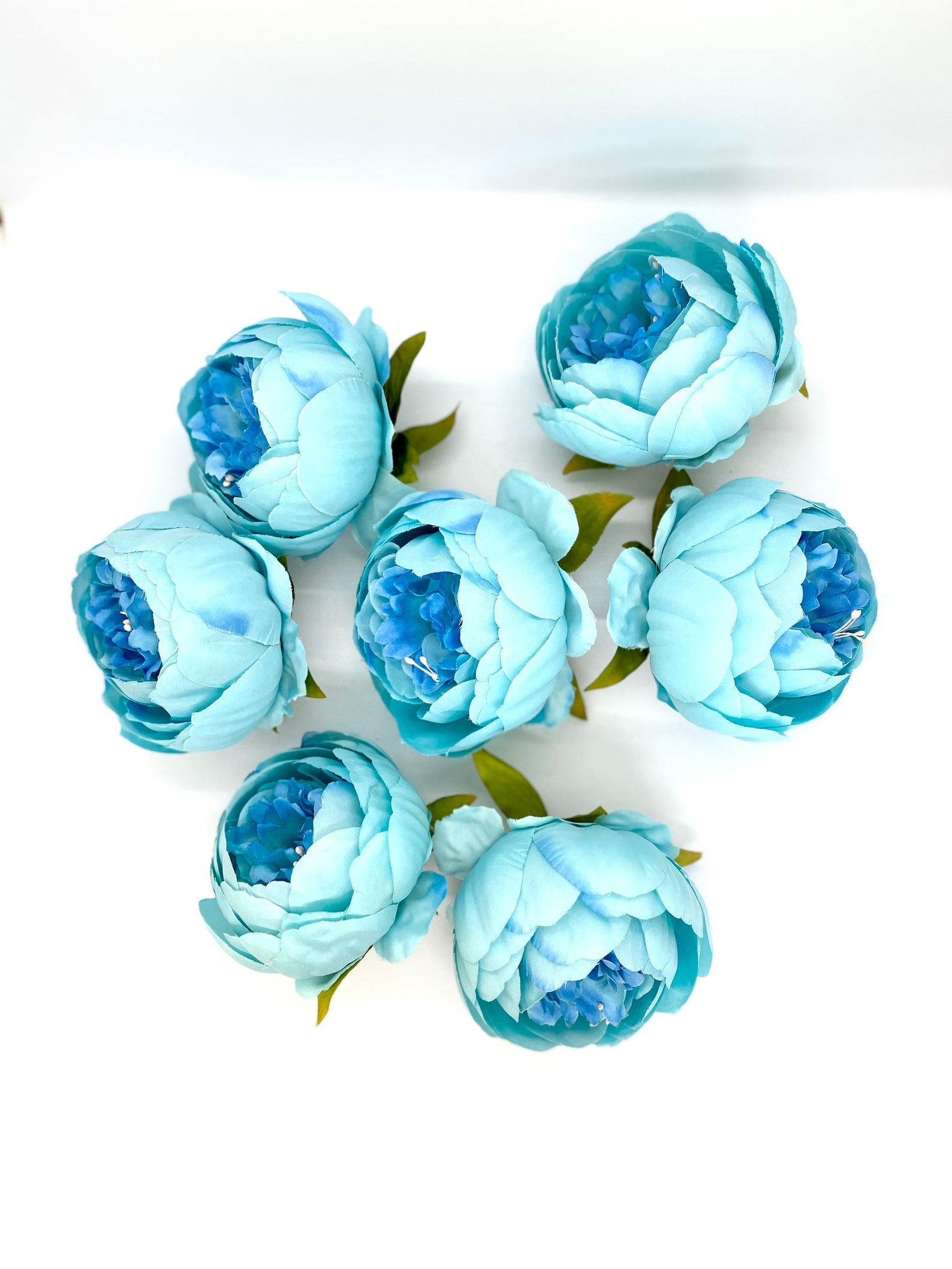 4" Double Peony in Bright Aqua Blue Closed Blue Peony Blush Peony Closed Aqua Peony Two Tone Peony Wedding Peony Flower Cake Peony Blue