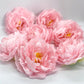 Baby pink peony silk flower for wedding bouquet arrangements