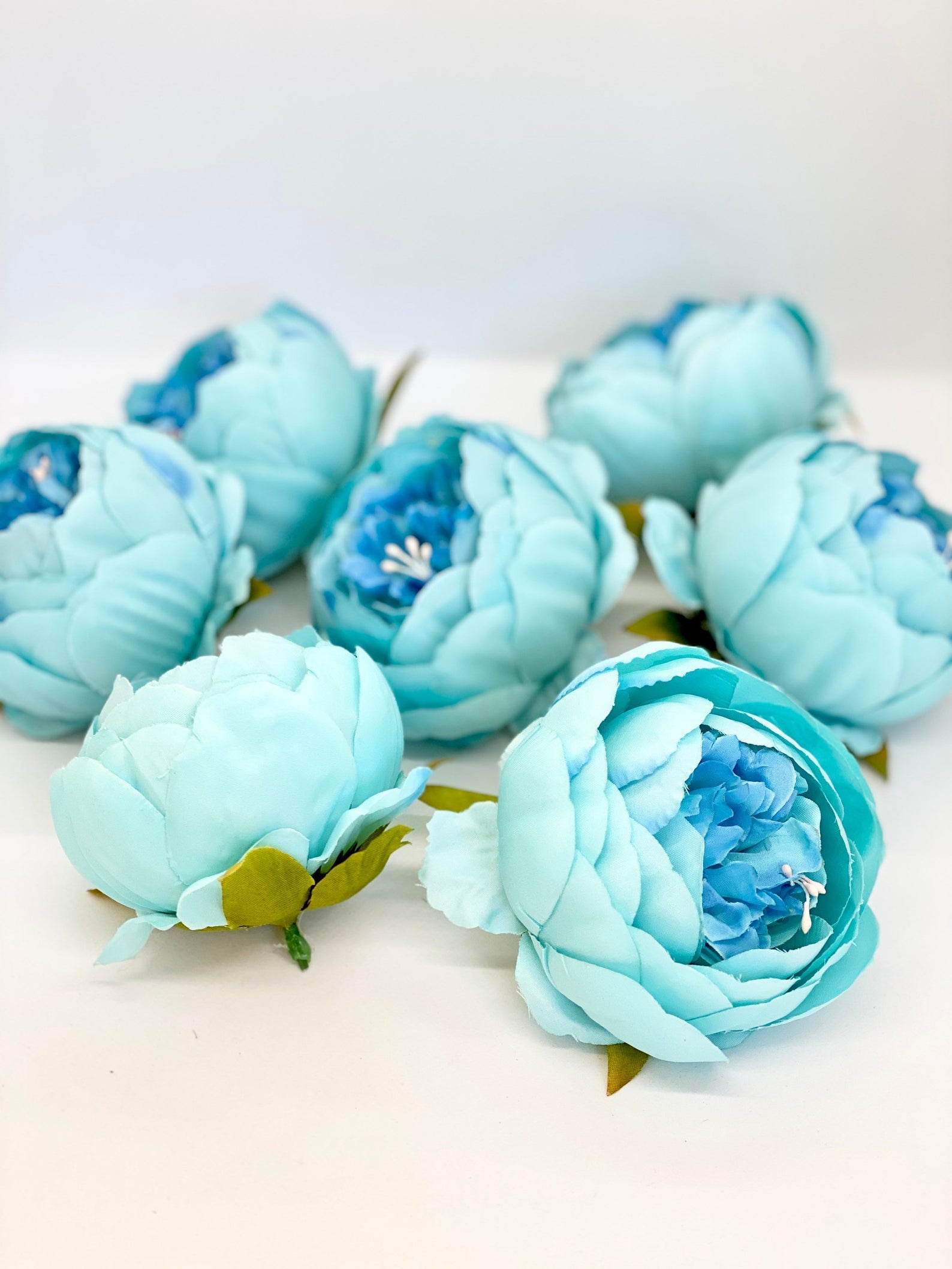 4" Double Peony in Bright Aqua Blue Closed Blue Peony Blush Peony Closed Aqua Peony Two Tone Peony Wedding Peony Flower Cake Peony Blue