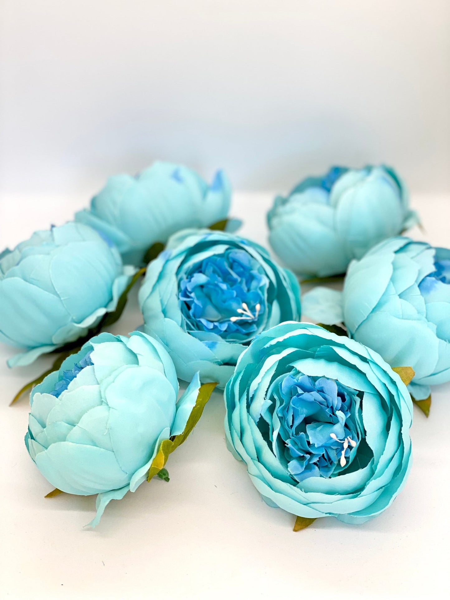 4" Double Peony in Bright Aqua Blue Closed Blue Peony Blush Peony Closed Aqua Peony Two Tone Peony Wedding Peony Flower Cake Peony Blue