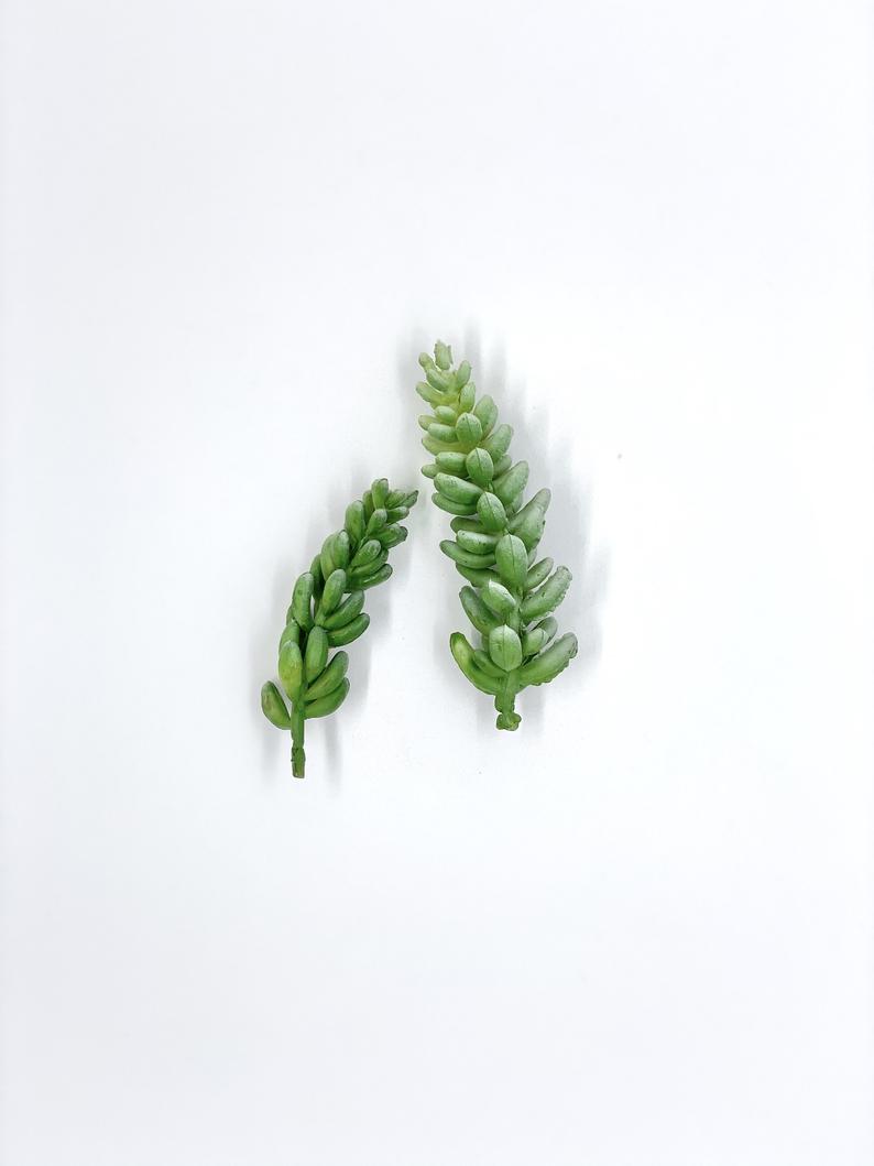 2.5" and 3.5" Seedling Succulents Artificial Succulents Fake Succulent Decor Faux Succulent Plant Green Succulent Seedling Plant Artificial