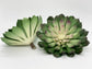 Side view 6 inch artificial echeveria succulent with darkened tips, durable plastic blend