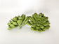 Side view 3 inch faux green succulent with short removable stem for floral arrangements
