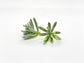 Top-down view of 2 inch artificial green succulent showing realistic layered texture