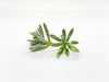 2" Artificial Green Succulent Green Sedum Succulent Artificial Succulent Accent Faux Succulent Fake Succulent Decor Succulent for Wedding