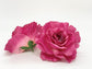 3.5" Large Open Fuchsia Rose Large Hot Pink Rose Fuchsia Silk Flower Fuchsia Artificial Flower Fuchsia Wedding Flower Fuchsia Party Flower