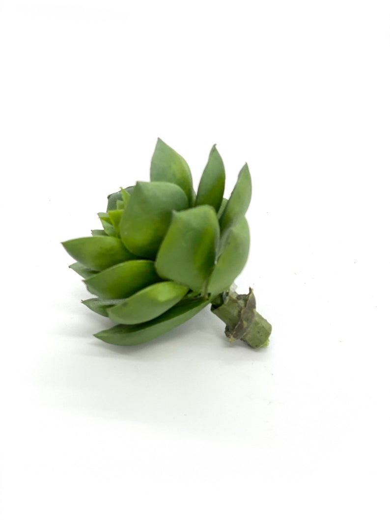 2" Artificial Green Succulent Decor Fake Succulent Wedding Faux Succulent Bouquet Artificial Succulent for Planter Echeveria Succulent