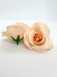 3.5" Peach Rose Peach Artificial Flower Soft Peach Wedding Decor Light Peach Silk Flower Wedding Peach Decor Orange Flower