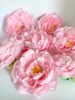 Baby pink silk peony side profile for bridal bouquet design