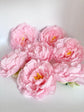 Full 5 inch light pink peony for wedding arrangement crafting