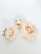 Blush to cream tea rose flower head for neutral arrangements