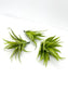 Light Green Artificial Aloe Succulent Pick Green Aloe Fake Succulent Decor Terrarium Plant Succulent Aloe Plant Aloe Pick Fake Aloe Greenery