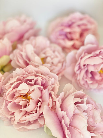 5" Light Pink Peony Two Tone Peony Wedding Flower Fluffy Peony Flower Artificial Peony Light Pink Wedding Flower Light Pink Peony Decor